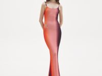 Alema Printed Maxi Dress