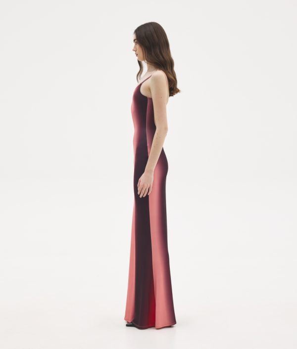 Alema Printed Maxi Dress - Image 3