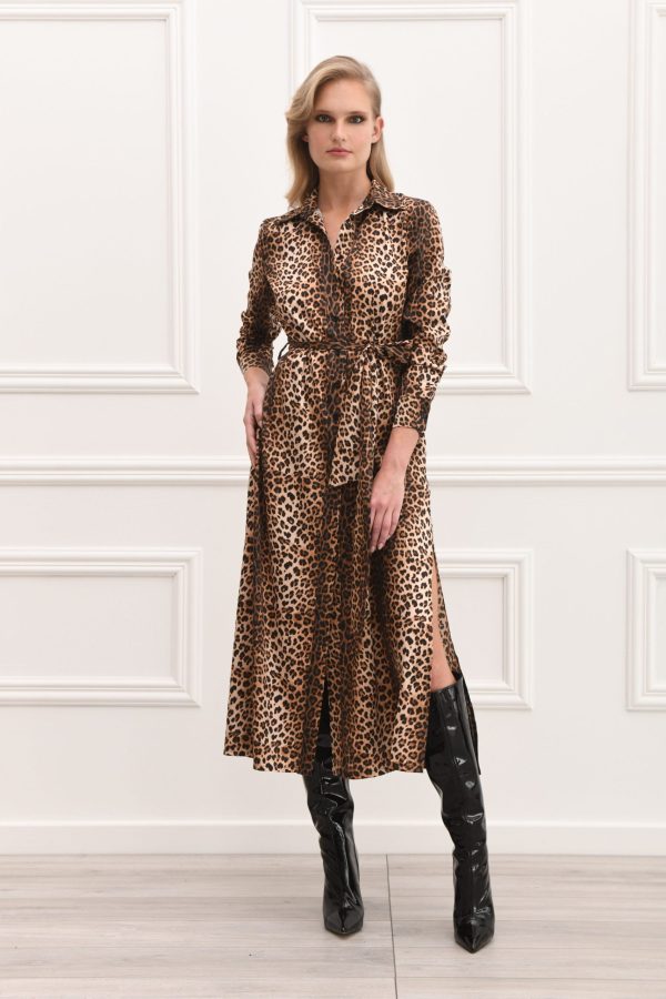 DSC_6578-copy-scaled-1.jpg Animal Print Dress - Image 1