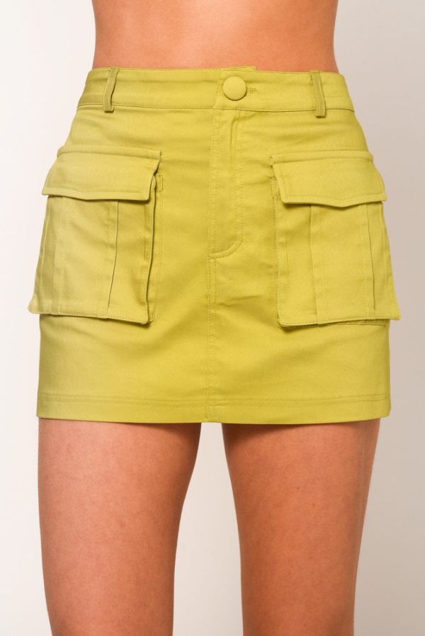 DSC_8238.jpg Amber Monochrome Skirt - Image 1