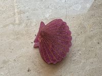 Shell Hair Clip Fuchsia