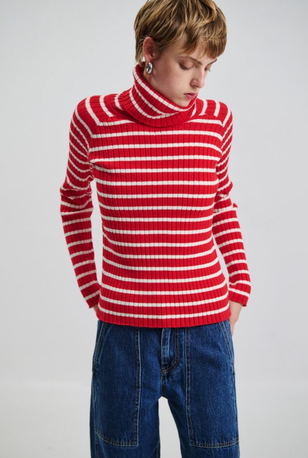 IMG_3718.jpeg Turtleneck W-0041 - Image 1