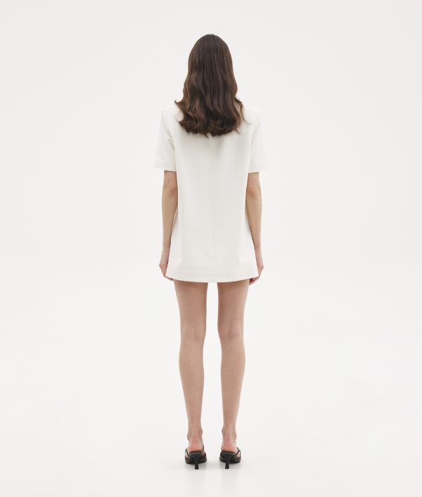 Begonia Blazer - Image 4