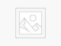 Δείκτης τοποθέτησης